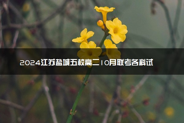 2024江苏盐城五校高二10月联考各科试题及答案汇总