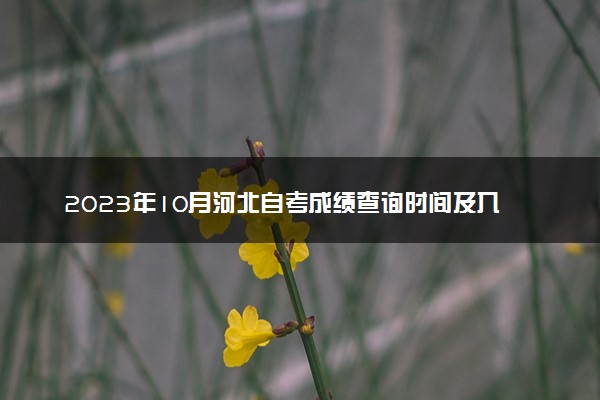 2023年10月河北自考成绩查询时间及入口 多久出分