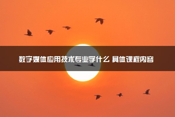 数字媒体应用技术专业学什么 具体课程内容