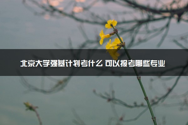 北京大学强基计划考什么 可以报考哪些专业