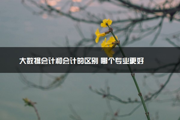 大数据会计和会计的区别 哪个专业更好