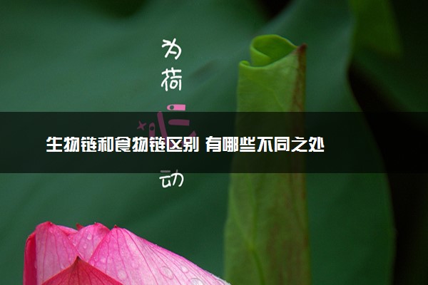 生物链和食物链区别 有哪些不同之处