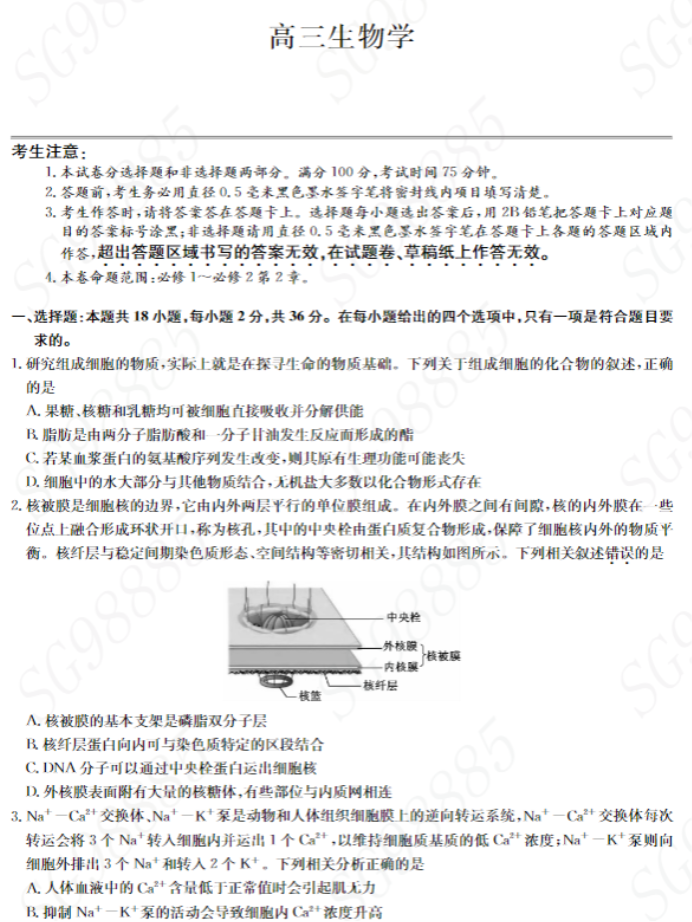 湖北九师联盟2024高三10月质量检测(X)生物试题及答案解析