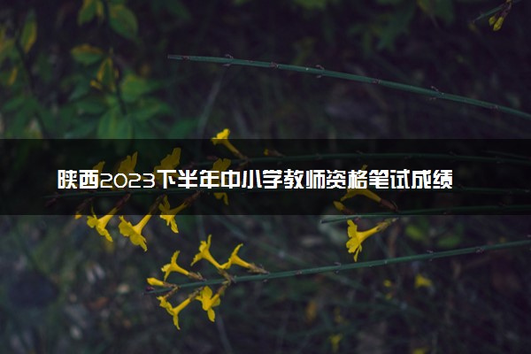 陕西2023下半年中小学教师资格笔试成绩查询时间 哪天查询