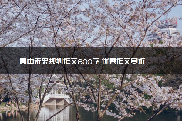 高中未来规划作文800字 优秀作文赏析