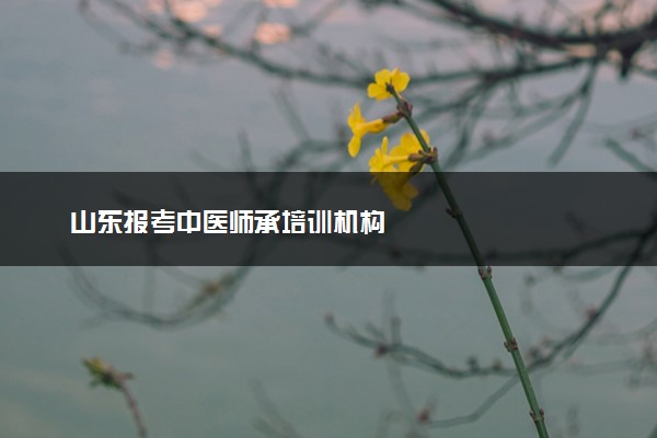 山东报考中医师承培训机构