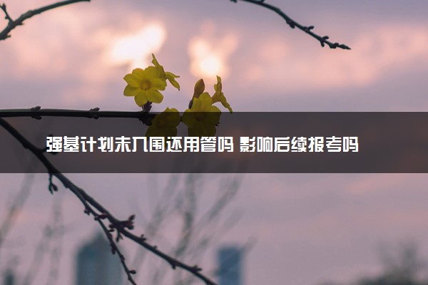 强基计划未入围还用管吗 影响后续报考吗