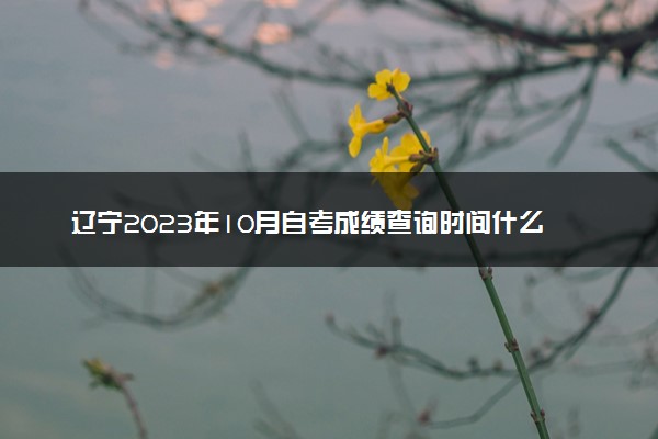 辽宁2023年10月自考成绩查询时间什么时候 在哪查分