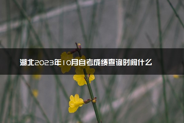 湖北2023年10月自考成绩查询时间什么时候 在哪查分