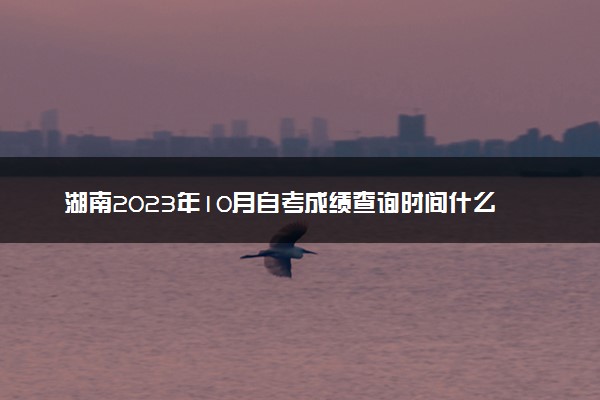 湖南2023年10月自考成绩查询时间什么时候 在哪查分