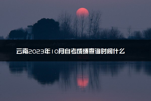 云南2023年10月自考成绩查询时间什么时候 在哪查分