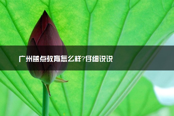 广州蓝点教育怎么样？仔细说说