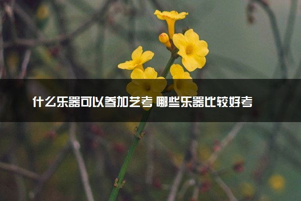 什么乐器可以参加艺考 哪些乐器比较好考