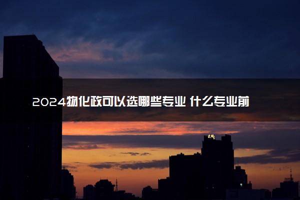 2024物化政可以选哪些专业 什么专业前景好