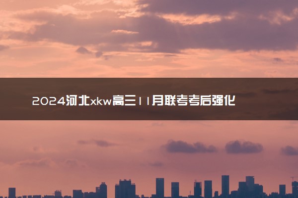 2024河北xkw高三11月联考考后强化卷各科试题及答案汇总