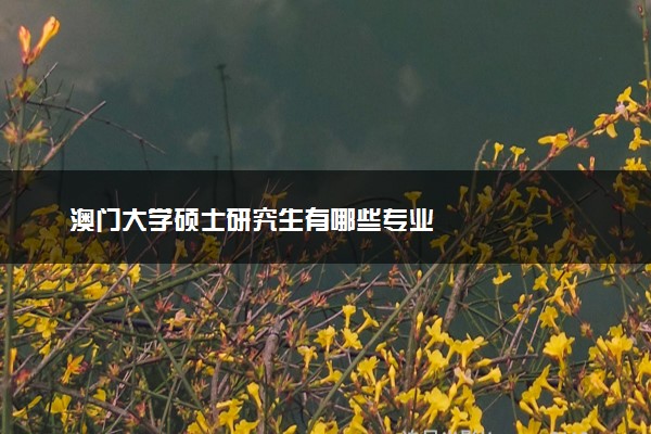 澳门大学硕士研究生有哪些专业