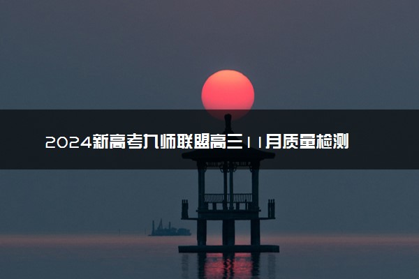 2024新高考九师联盟高三11月质量检测各科试题及答案汇总