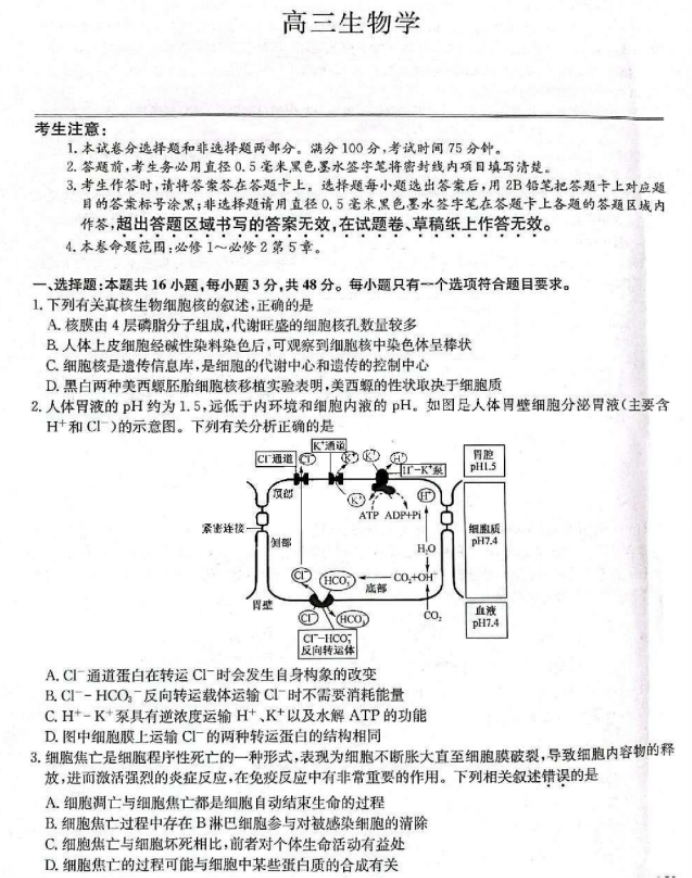 九师联盟2024高三11月质量检测(LY)生物试题及答案解析