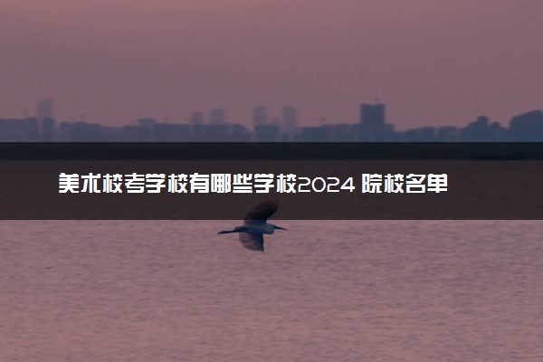 美术校考学校有哪些学校2024 院校名单一览表