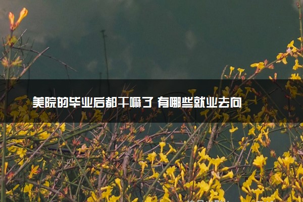 美院的毕业后都干嘛了 有哪些就业去向