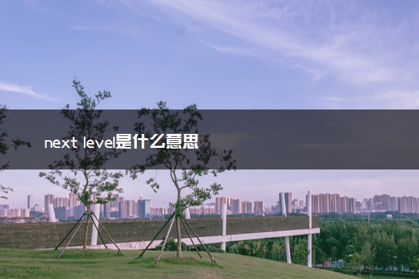 next level是什么意思