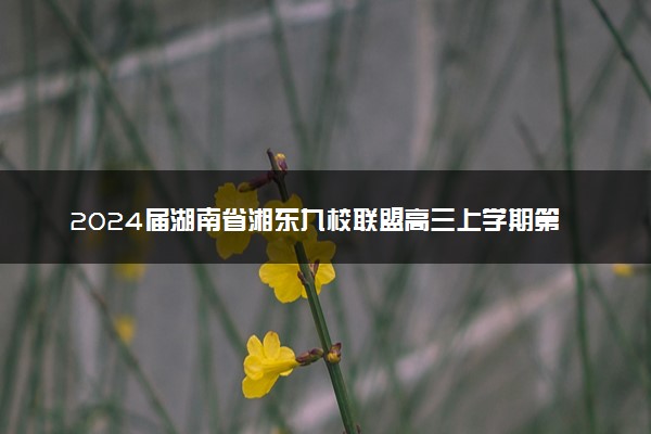 2024届湖南省湘东九校联盟高三上学期第一次联考（一模）物理