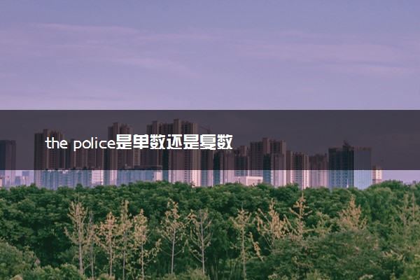 the police是单数还是复数