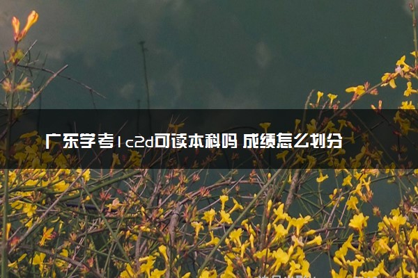 广东学考1c2d可读本科吗 成绩怎么划分