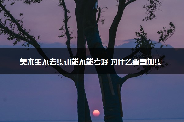 美术生不去集训能不能考好 为什么要参加集训