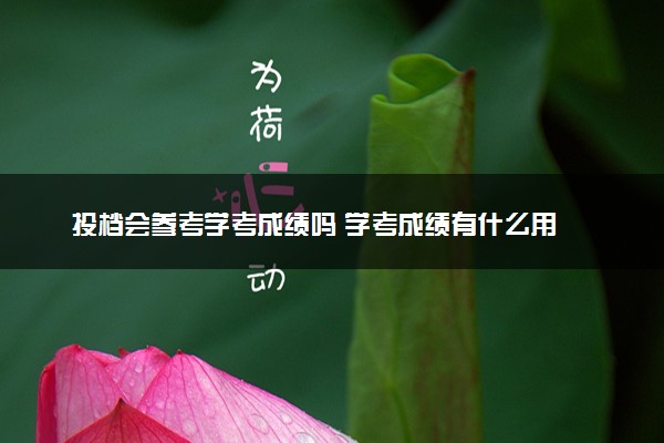 投档会参考学考成绩吗 学考成绩有什么用