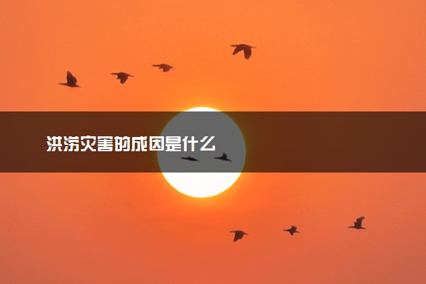 洪涝灾害的成因是什么