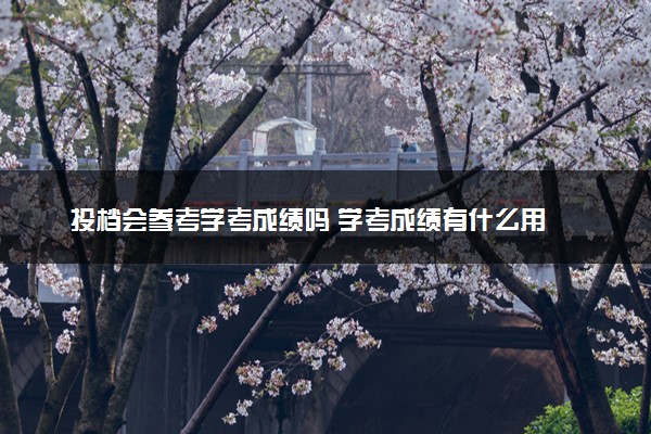 投档会参考学考成绩吗 学考成绩有什么用