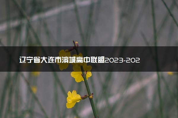 辽宁省大连市滨城高中联盟2023-2024学年高三上学期期中（Ⅱ）考试 政治