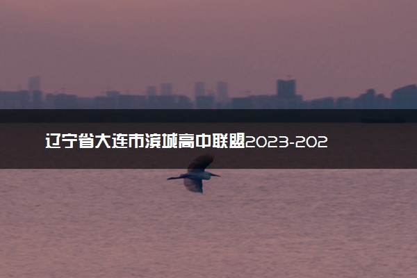 辽宁省大连市滨城高中联盟2023-2024学年高三上学期期中（Ⅱ）考试 物理