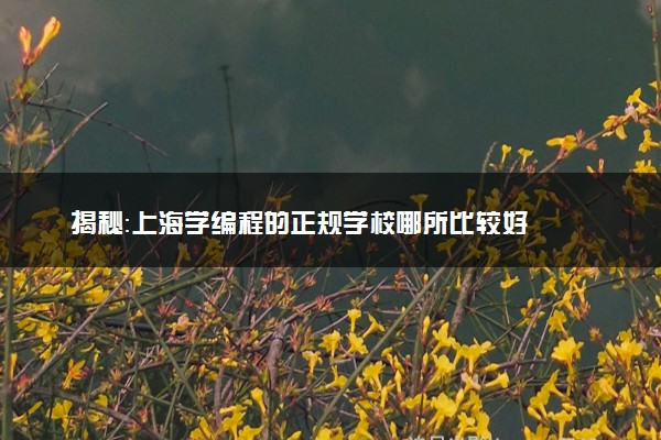 揭秘：上海学编程的正规学校哪所比较好