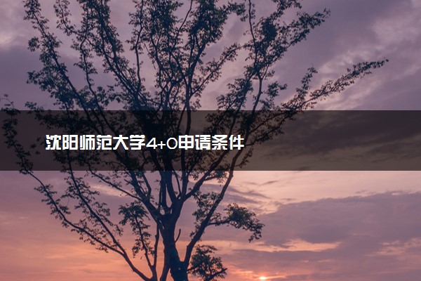 沈阳师范大学4+0申请条件