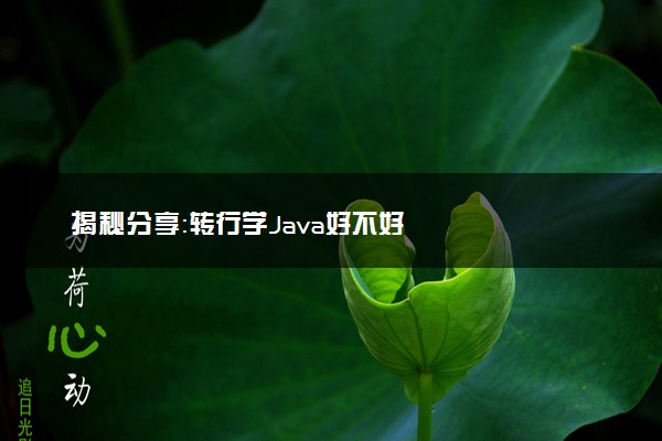 揭秘分享：转行学Java好不好