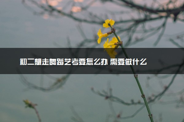 初二想走舞蹈艺考要怎么办 需要做什么