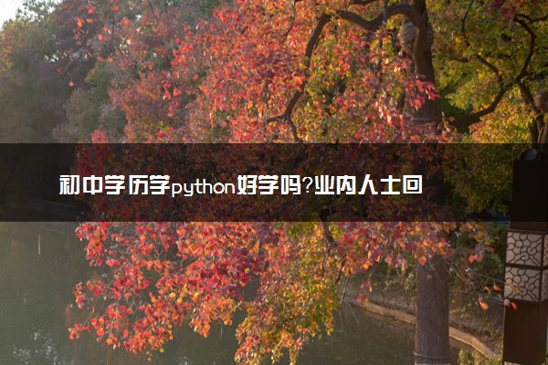 初中学历学python好学吗？业内人士回答