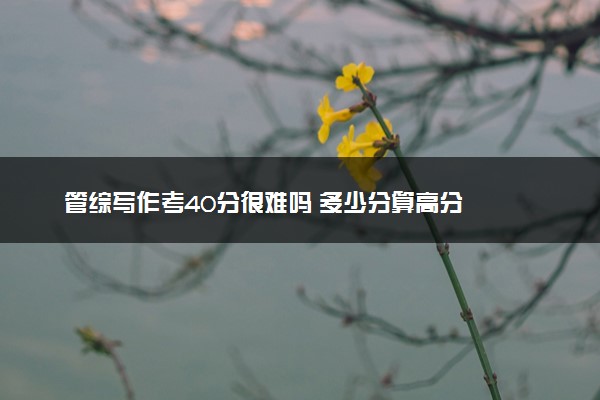 管综写作考40分很难吗 多少分算高分