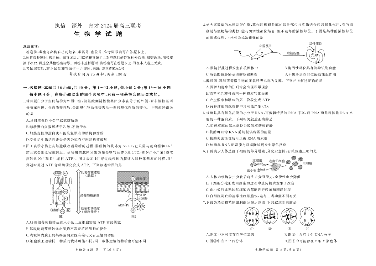 2024届高三执信、深外育才12月联考(生物)