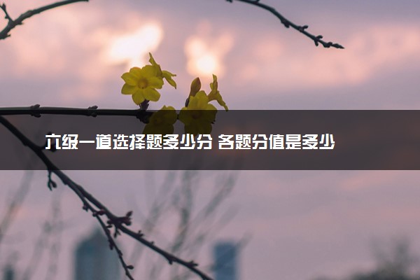 六级一道选择题多少分 各题分值是多少