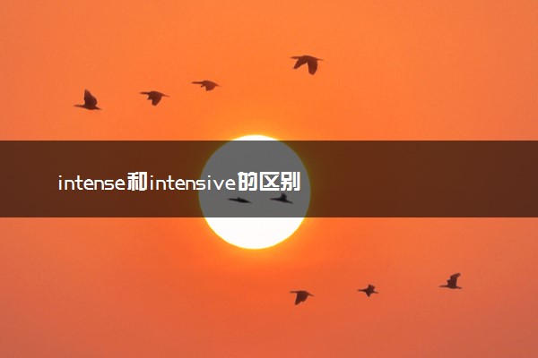 intense和intensive的区别