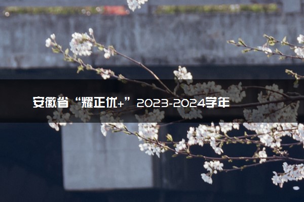 安徽省“耀正优+”2023-2024学年高三上学期12月名校阶段检测联考历史