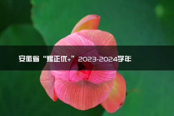 安徽省“耀正优+”2023-2024学年高三上学期12月名校阶段检测联考物理