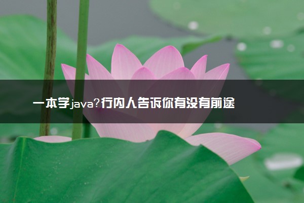 一本学java？行内人告诉你有没有前途