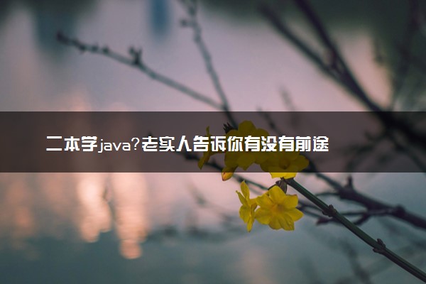 二本学java？老实人告诉你有没有前途