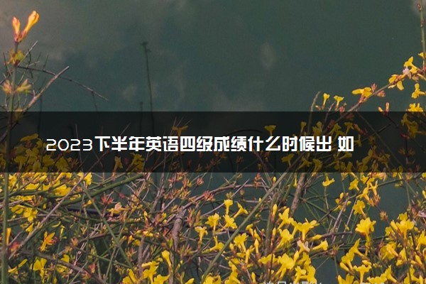 2023下半年英语四级成绩什么时候出 如何查询