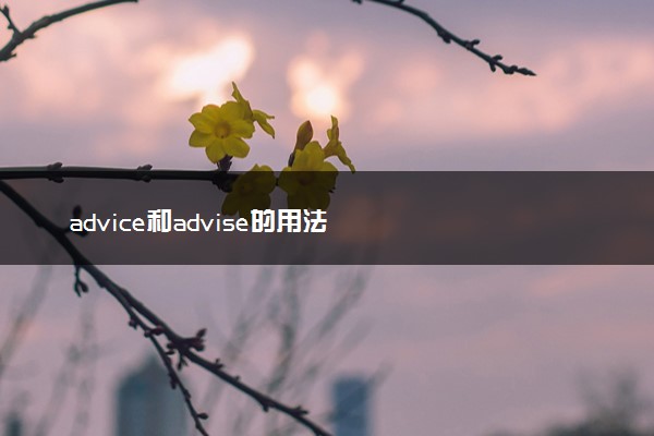 advice和advise的用法