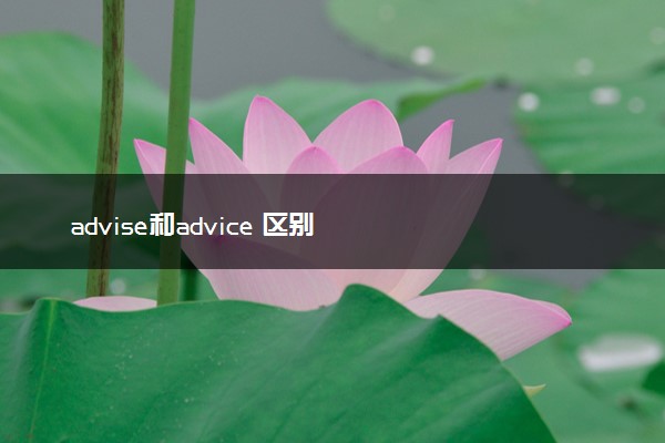 advise和advice 区别